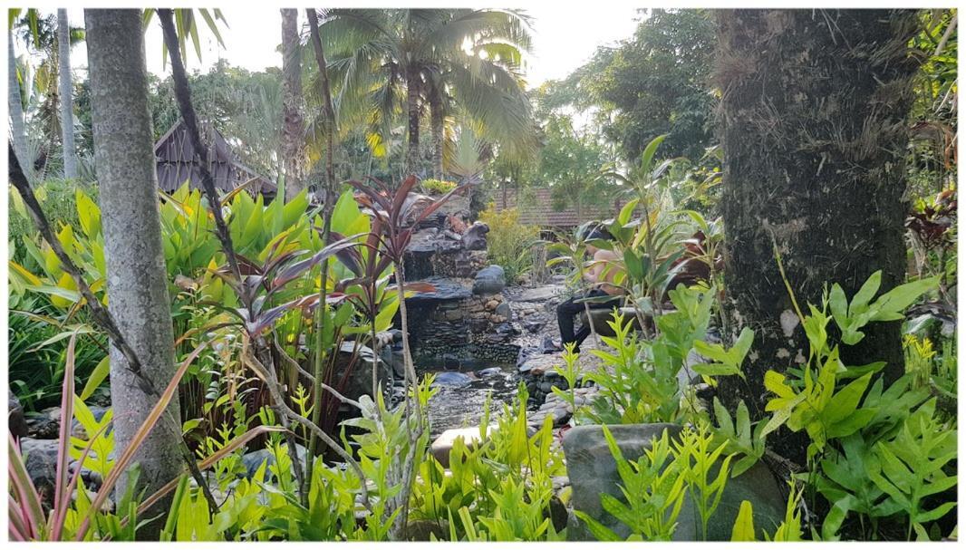 โรงแรมบ้านสกุณา เชียงของ ภายนอก รูปภาพ