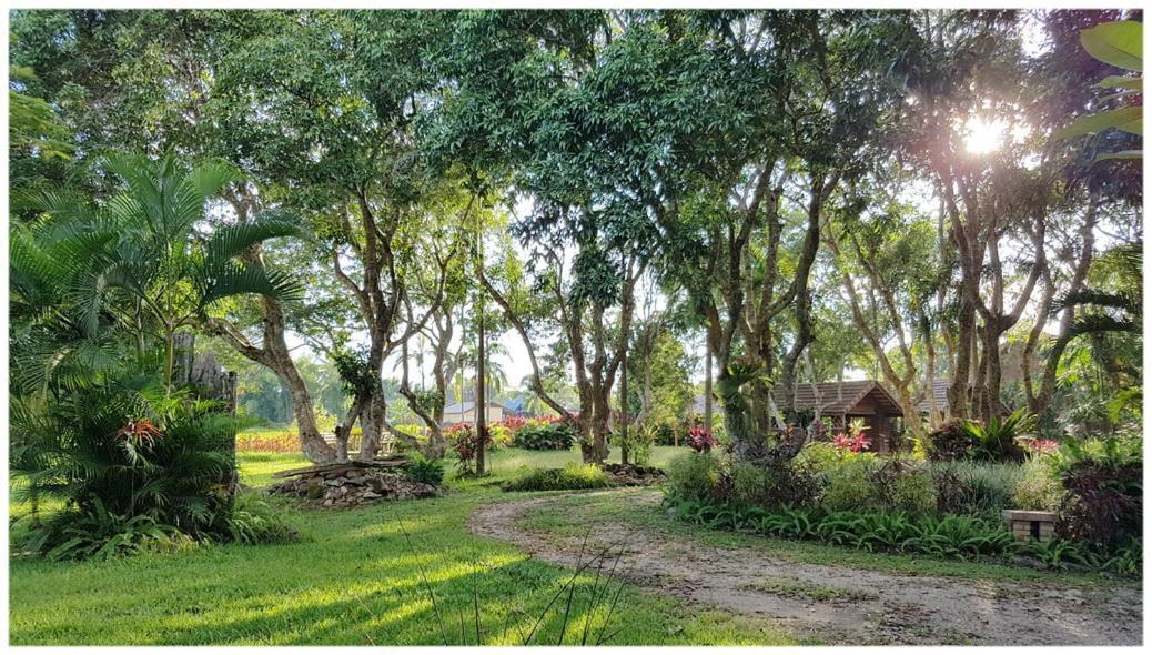โรงแรมบ้านสกุณา เชียงของ ภายนอก รูปภาพ
